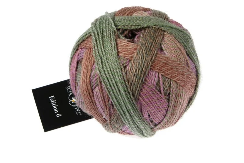 schoppel edizione 6.0