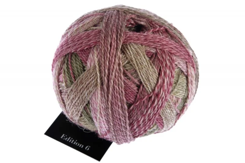 schoppel edizione 6.0