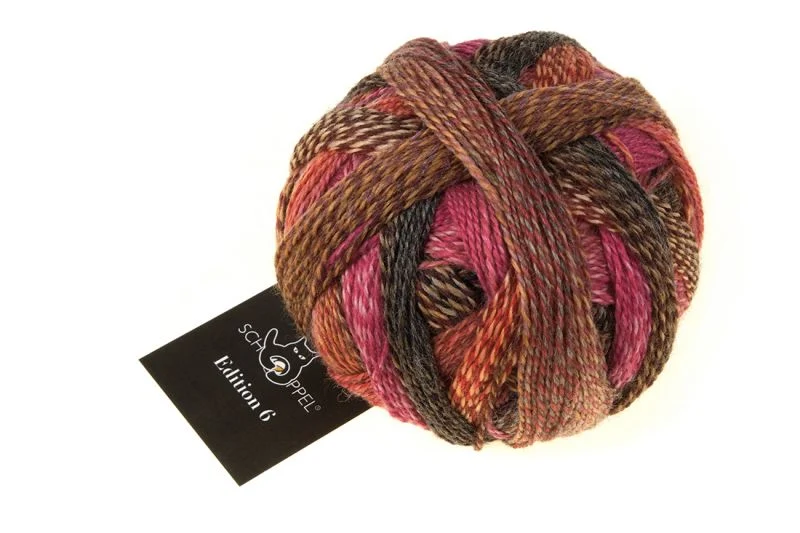 schoppel edizione 6.0