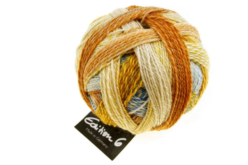 schoppel edizione 6.0