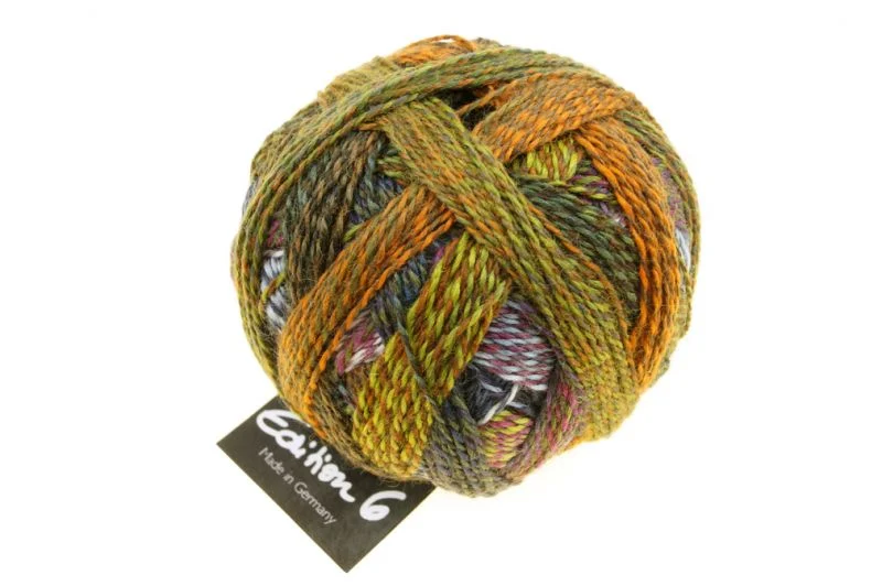 schoppel edizione 6.0