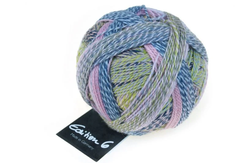 schoppel edizione 6.0