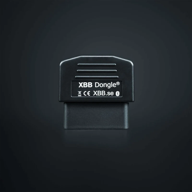 Dongle Strands XBB