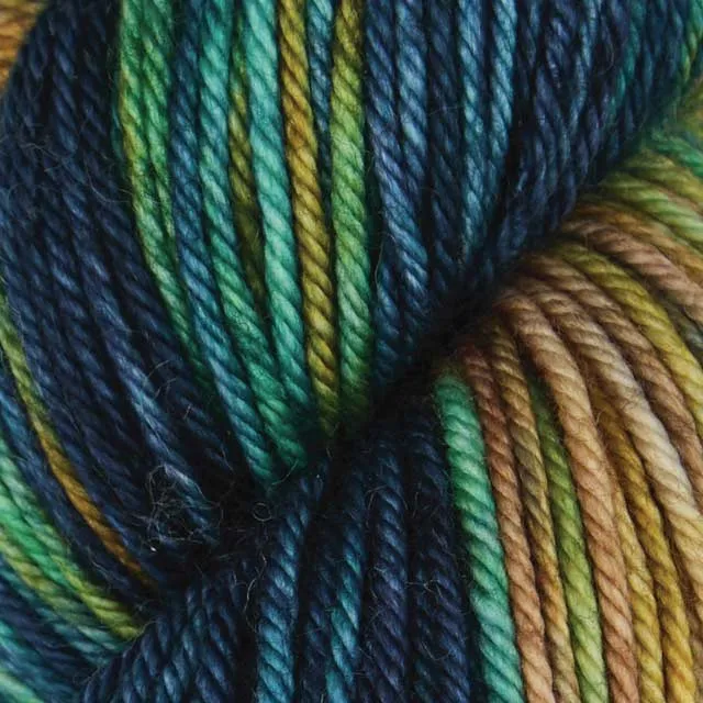 symfonie bel colore