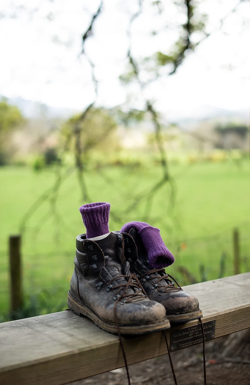 Alpaca Cushion Sole Walking Socks