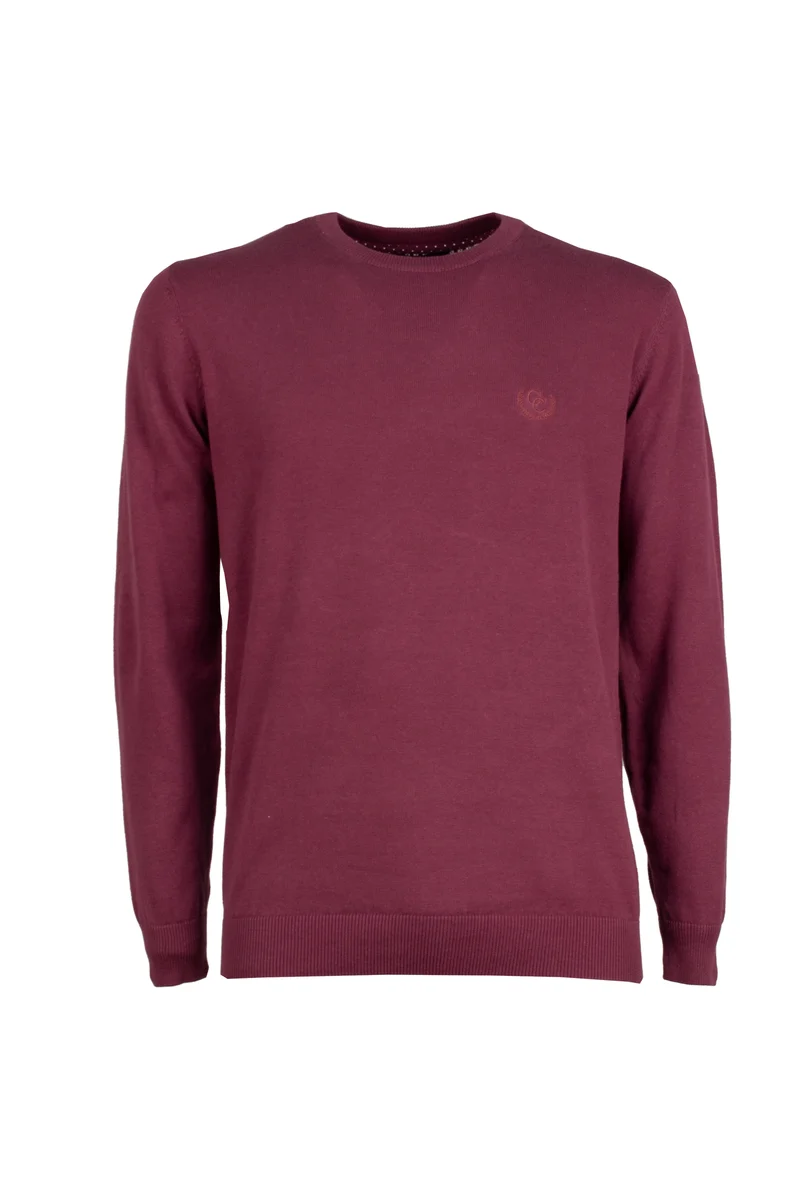 Pullover girocollo uomo in puro cotone con ricamo ton sur ton