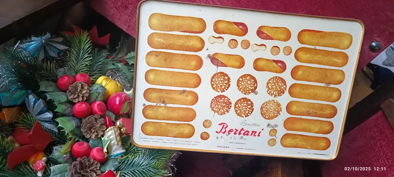 Scatola di latta vintage Biscotti Bertani di Novara Camporelli. . Misure 40 x 28 x 11 cm. 700g.