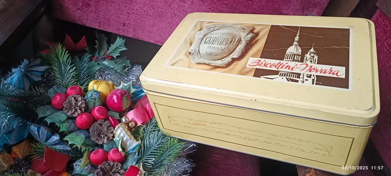 Scatola di latta vintage Biscottini di Novara Camporelli. Biscottificio da 1852. Misure 15 x 25 x 35 cm. 600g.