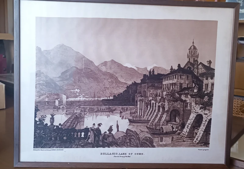 Stampa su seta Manifattura Segalini, incorniciata anni sessanta. Misure cm 38 x cm 50. Cornice in legno con vetro. 1 kg.