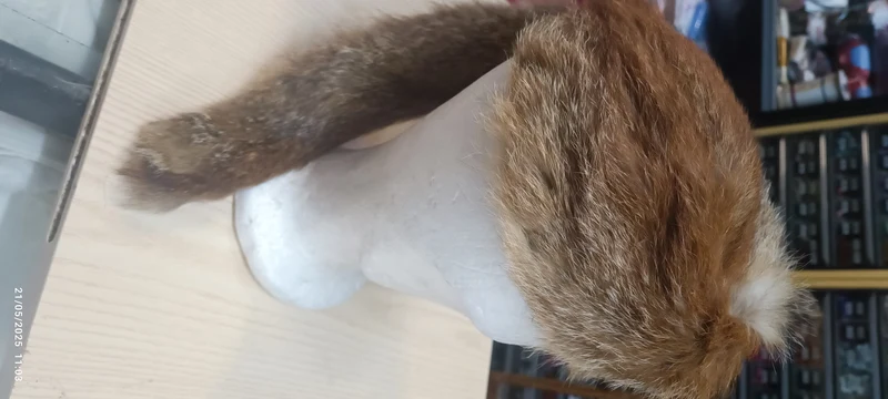 Cappello da cacciatore con coda di pelliccia, circonferenza cm 53. 150 g.