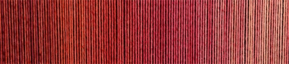 schoppel zauberball cotton