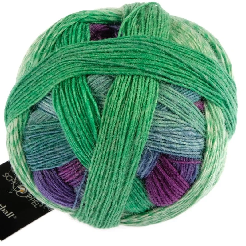 schoppel zauberball 100