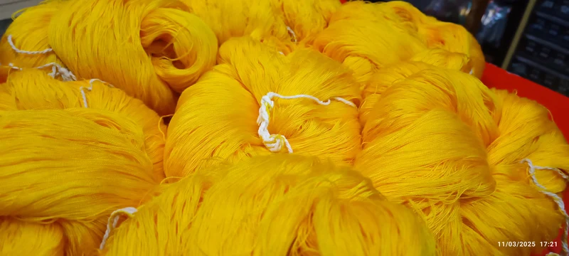 Setificato in matasse, filatura di Tollegno, giallo uovo, per abiti e maglieria, da lavorare a macchina. 1,4 kg.