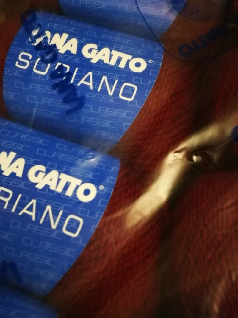 Soriano Lana Gatto, misto lana(70%) in gomitoli, confezione da 500g.