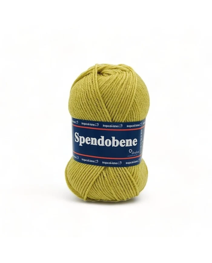 Spendo Bene Tropical Lane misto lana gomitolo da 50gr 130 metri