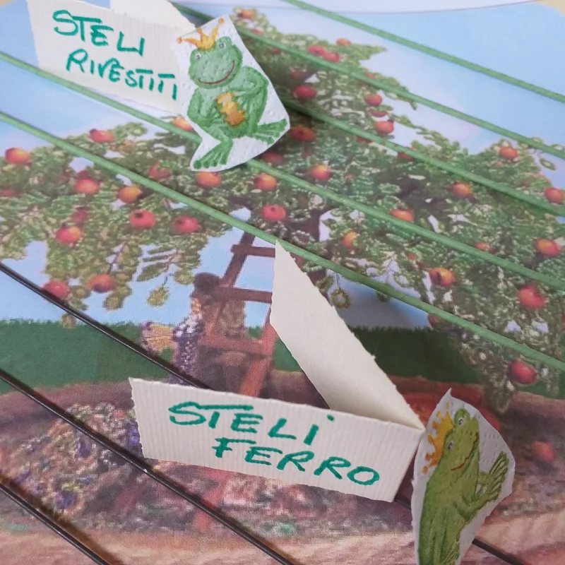 Steli gambi fiori fili ferri per fioristi barrette ricoperte verdi