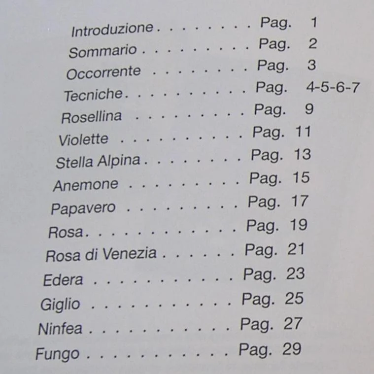 Perline conteria di Venezia kit rose accessori rivista fili di ferro