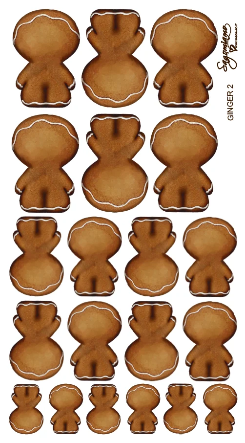 PANNELLO GINGER 2 25X45 PAN 06