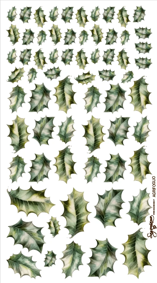 PANNELLO AGRIFOGLIO 25X45 PAN 03